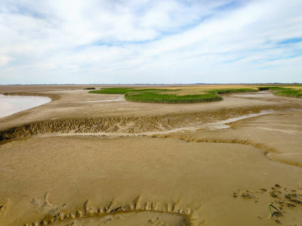 istock Wadden Sea at low tide 1359144630