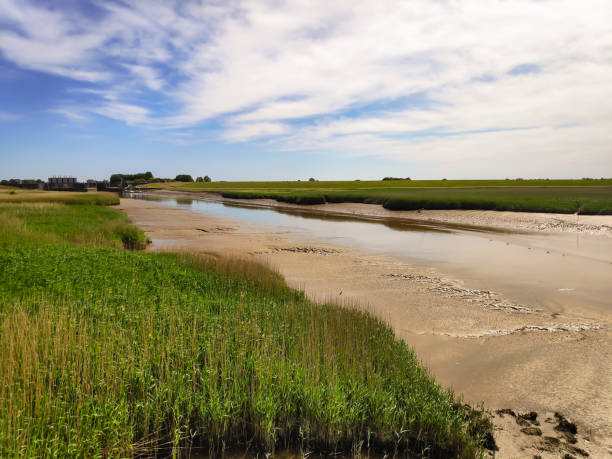 istock Wadden Sea at low tide 1359144679