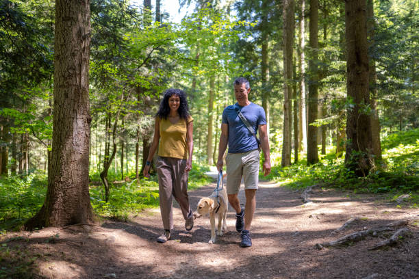 Smiling mid adult pair walking dog on pathway between grown trees