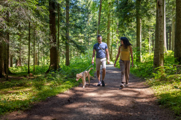 istock Pair with dog on walk in forest, enjoying summer sunny day in forest 1359145367