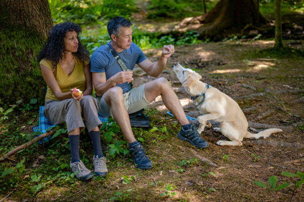 istock Couple sitting on ground in forest and sharing snack with dog 1359145385