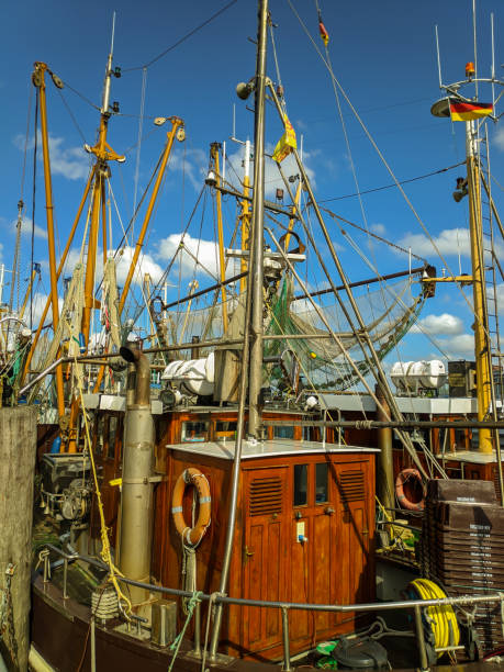 istock Fishing boats in the harbor 1359145413
