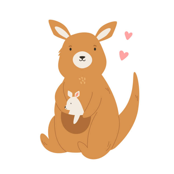 ilustraciones, imágenes clip art, dibujos animados e iconos de stock de ilustración vectorial de un lindo canguro adulto con un bebé en un bolsillo - kangaroo animal humor fun