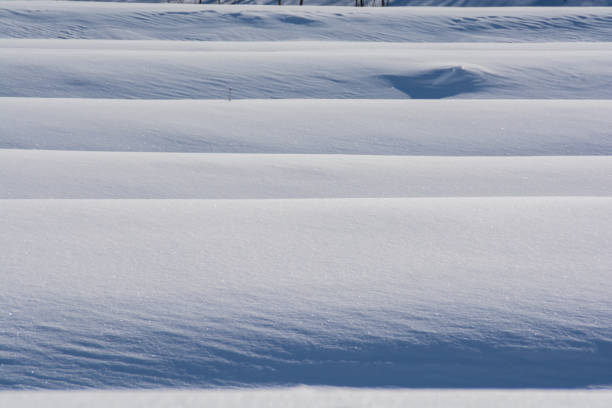 Shadow of rice terraces with snow