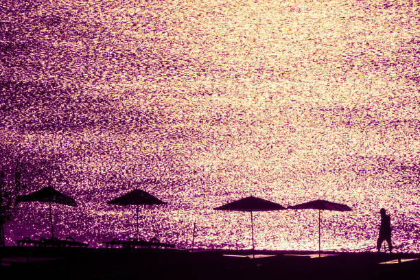 Beach Umbrellas and Tourist at seaside