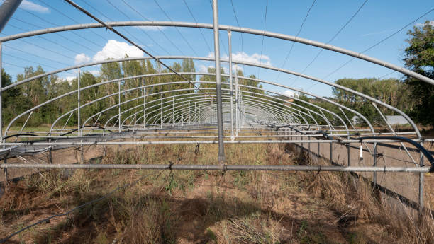 istock Abandoned greenhouse 1359153058