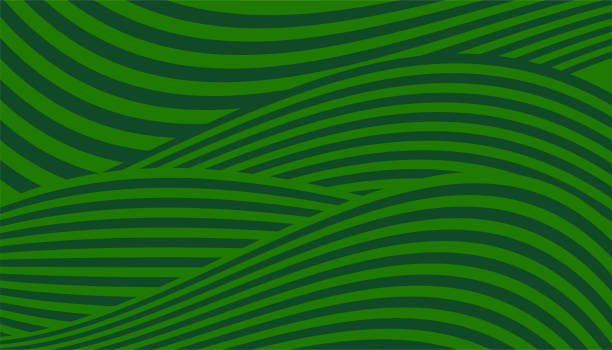 Farm green banner Farm green banner. Organic products abstract background with fields. Wavy green lines, backdrop for advertising natural organic products. Ecology background. Striped Farmer Green Pattern agro stock illustrations