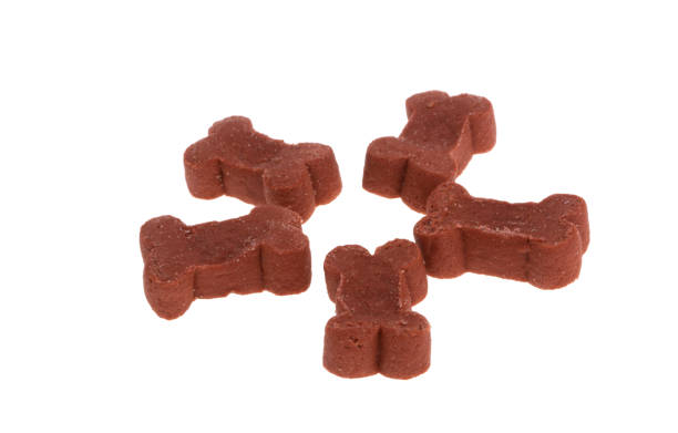 istock dog treats isolated 1359162664