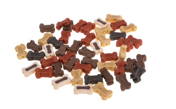 istock dog treats isolated 1359162736