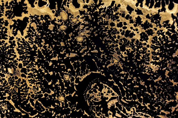 istock Fluid Art. Metallic gold abstract waves on Black background. Marble effect background or texture 1359164156
