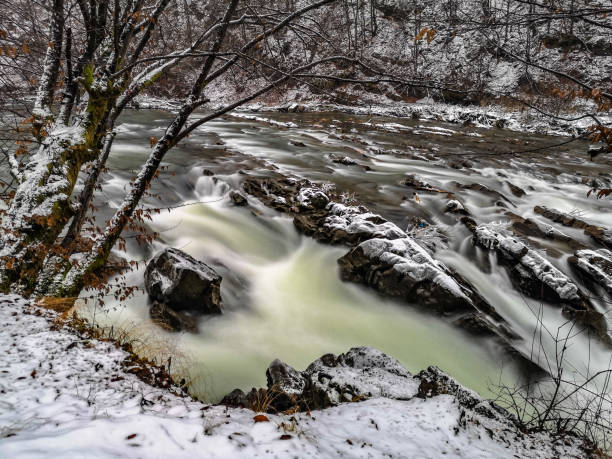 istock Seething mountain river in the Carpathian mountains forest 1359166947