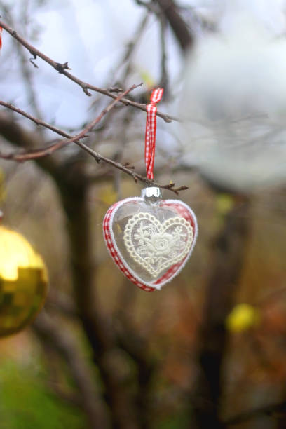 istock Christmas Ornaments in the Garden 1359167163