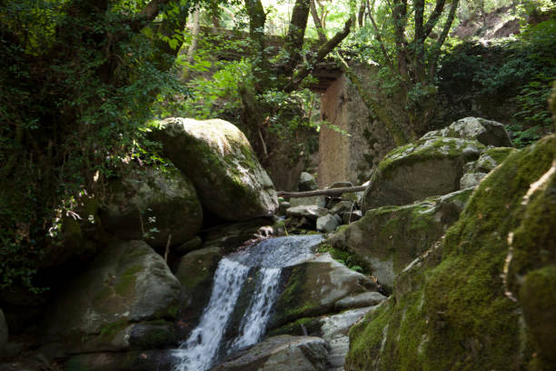 istock Stream in Ida Mountain, Beautiful nature. Turkey. 1359167341