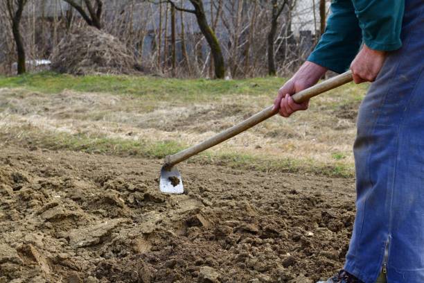 istock A farmer digs the soil with a hoe before planting seeds in the spring 1359168313