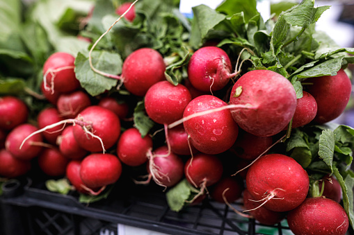Shallow depth of field (selective focus) image with organic fresh radish for sale in an outdoors market in Bucharest, Romania.