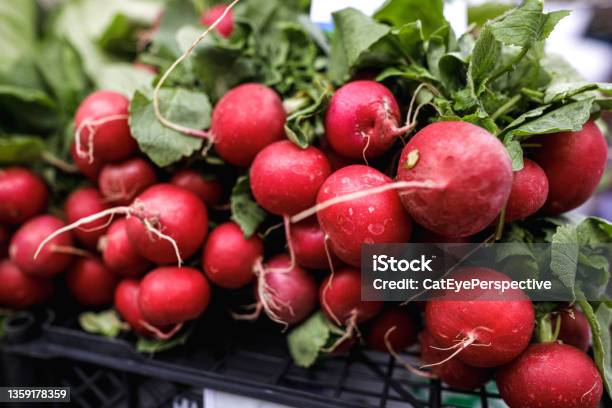 Shallow Depth Of Field Image With Organic Fresh Radish For Sale In An Outdoors Market In Bucharest Romania Stock Photo - Download Image Now