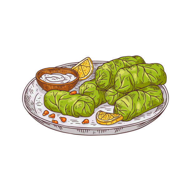 illustrations, cliparts, dessins animés et icônes de assiette de plat turc traditionnel - dolmades dans le style de croquis coloré, illustration vectorielle isolée sur fond blanc. - dolmades