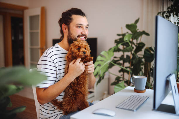 istock Man holding pet red poodle dog and using laptop at home 1359180848