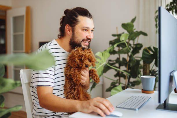 istock Man holding pet red poodle dog and using laptop at home 1359181193