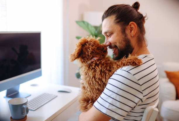 istock Man holding pet red poodle dog and using laptop at home 1359181818