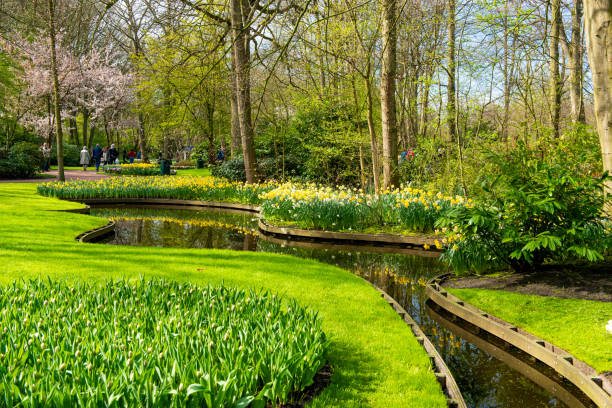 istock beautiful spring park in Holland 1359184277