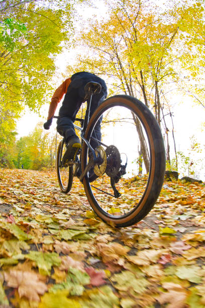 autumn gravel road bicycle ride - usa action adventure aspen tree imagens e fotografias de stock