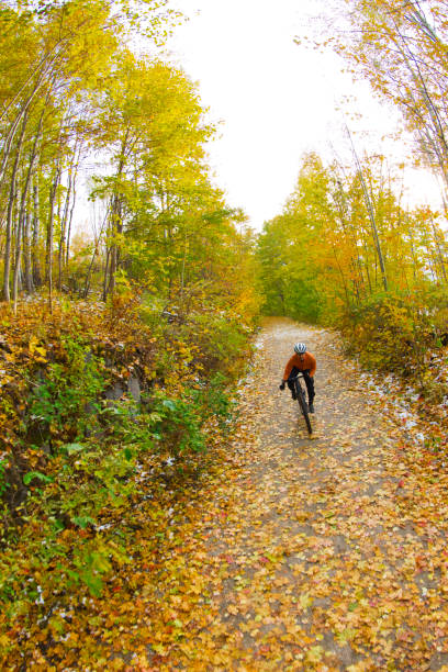 paseo en bicicleta por el camino de grava de otoño - usa action adventure aspen tree fotografías e imágenes de stock