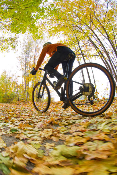 autumn gravel road bicycle ride - usa action adventure aspen tree imagens e fotografias de stock