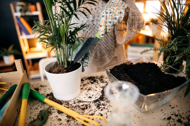istock Home gardening as a hobby 1359189514