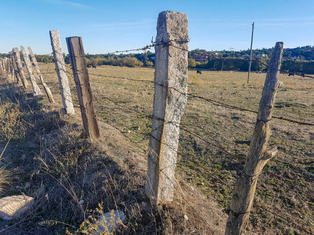 istock stakes and barbed wire in the field 1359191666