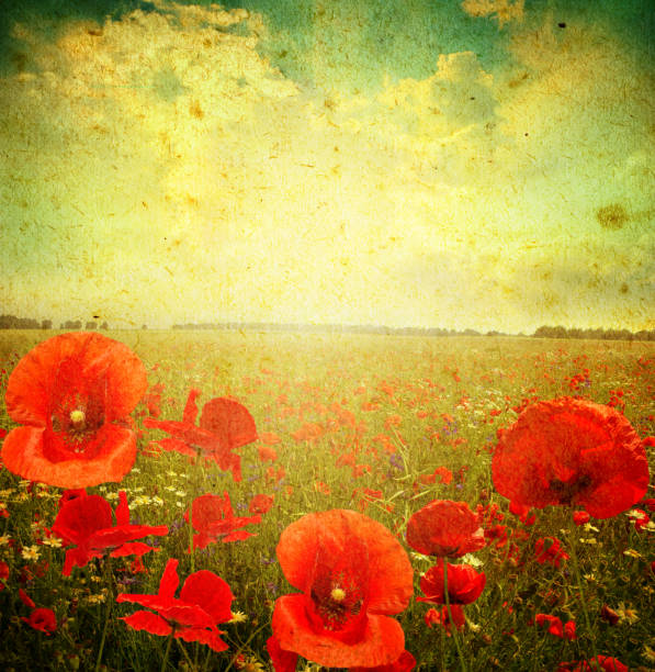 istock landscape on a grunge background 1359195875