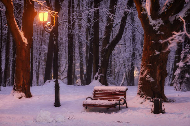 istock Evening in the winter park. Beautiful landscape with a bench. 1359195993