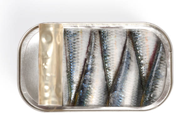 Canned sardines