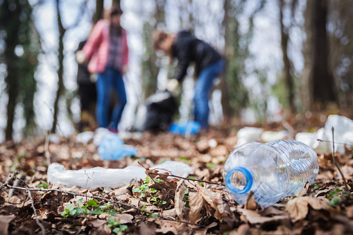 Plastic water bottles left in the nature