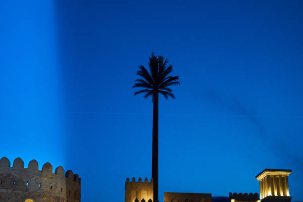 Palm trees grow against the blue sky in Dubai