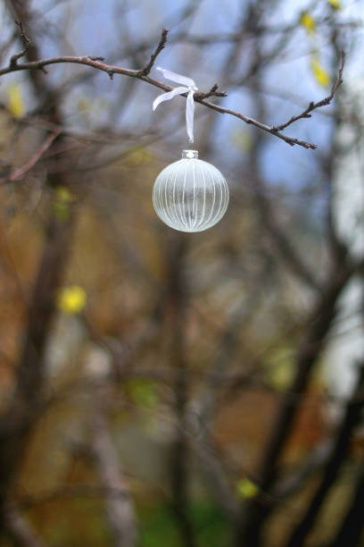istock Christmas Ornament in a Garden 1359199961