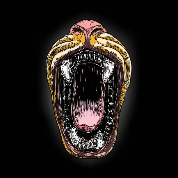 Vector illustration of Beast open mouth with fangs and teeth. Monster maw jaw, werewolf or Carnivore animals. Car tiger or bear. Vector.