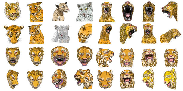 ilustrações, clipart, desenhos animados e ícones de conjunto de rostos de tigre e cabeças feitas de pedra e mármore. animais decorativos, tigres rugindo e rosnando. mascote insígnia e estilo de símbolo de ano novo lunar do zodíaco. vetor. - tiger animals in the wild stalking zoo