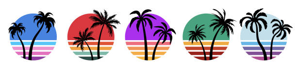 ilustraciones, imágenes clip art, dibujos animados e iconos de stock de vector retro puesta de sol y siluetas de palmeras. elementos vintage para logo, cartel de fiesta, camiseta. - surfing beach surf wave