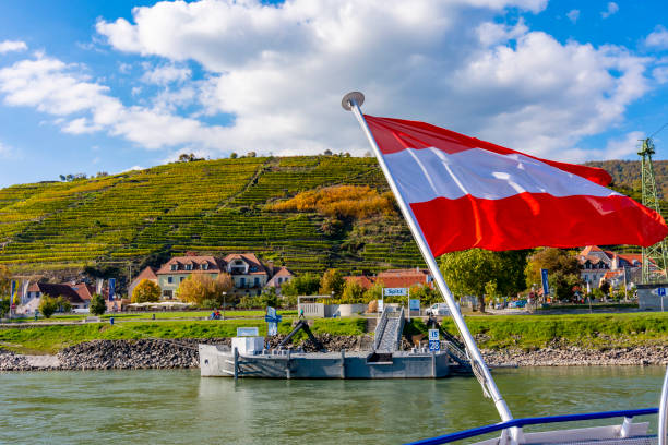 vinhedos spitz no vale de wachau, áustria - danube river fotos - fotografias e filmes do acervo