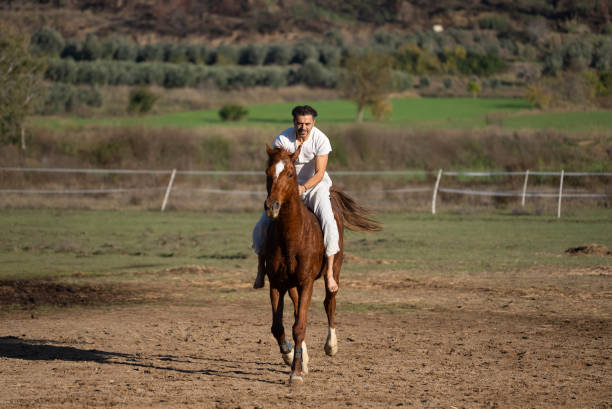 Horse and rider navigate a jump. Clipping path included.