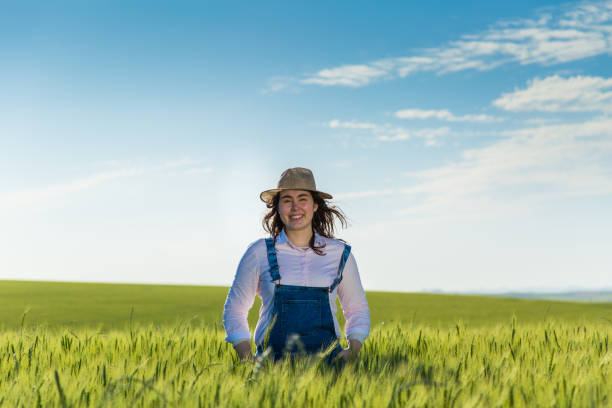 istock Woman in the wheat field 1359211716