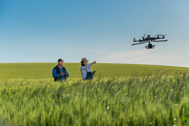 istock Drone no copyright fly in the wheat crop 1359211741