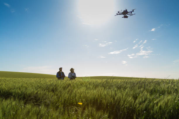 istock Drone no copyright fly in the wheat crop 1359211745