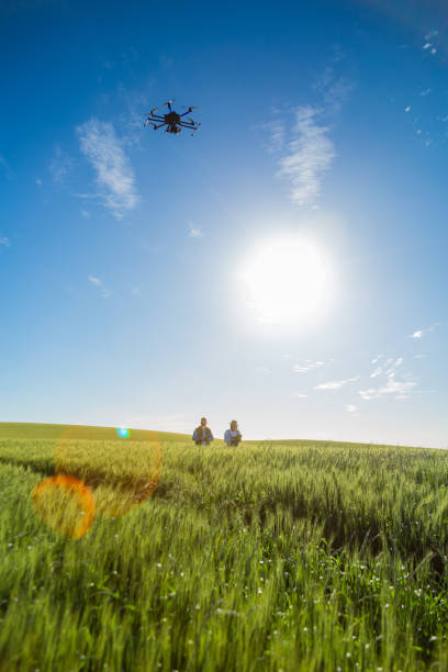 istock Drone no copyright fly in the wheat crop 1359211757