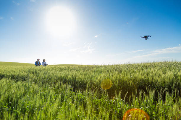 istock Drone no copyright fly in the wheat crop 1359211761