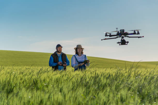 istock Drone no copyright fly in the wheat crop 1359211776