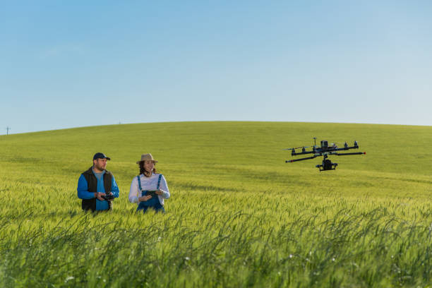 istock Drone no copyright fly in the wheat crop 1359211778
