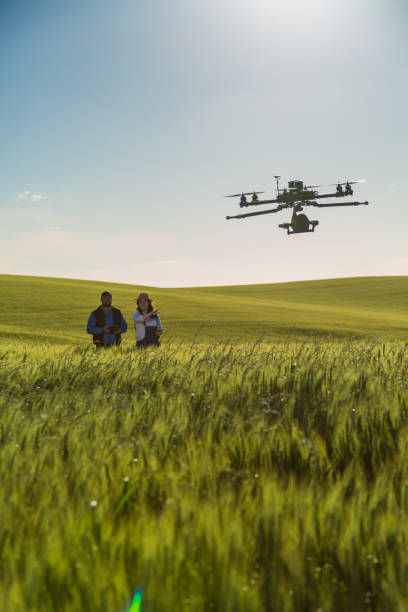 dron bez praw autorskich lata w uprawie pszenicy - aerial view mid air farm field zdjęcia i obrazy z banku zdjęć