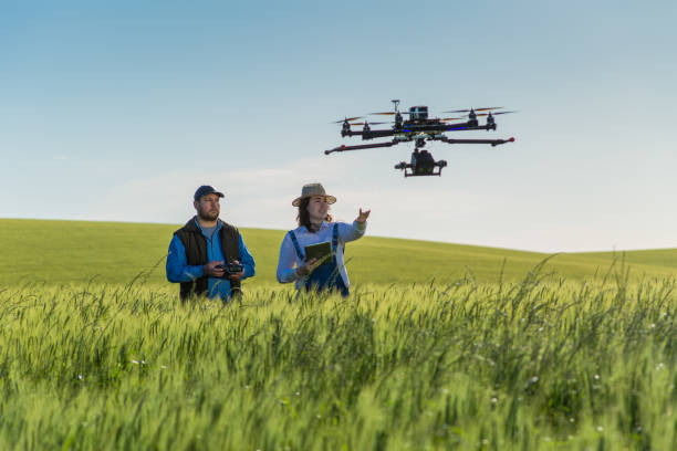 istock Drone no copyright fly in the wheat crop 1359211790